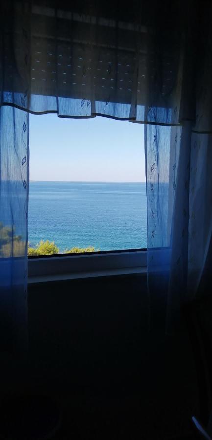 Apartments Nevjestic Primošten Zewnętrze zdjęcie