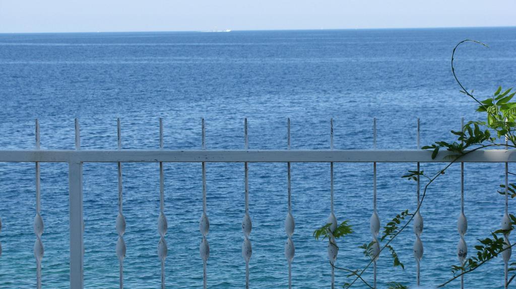 Apartments Nevjestic Primošten Zewnętrze zdjęcie